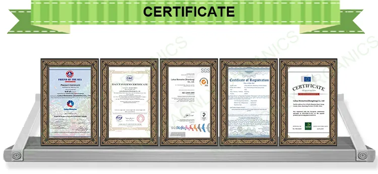 Tonutra Quality Certifications - ISO, HACCP