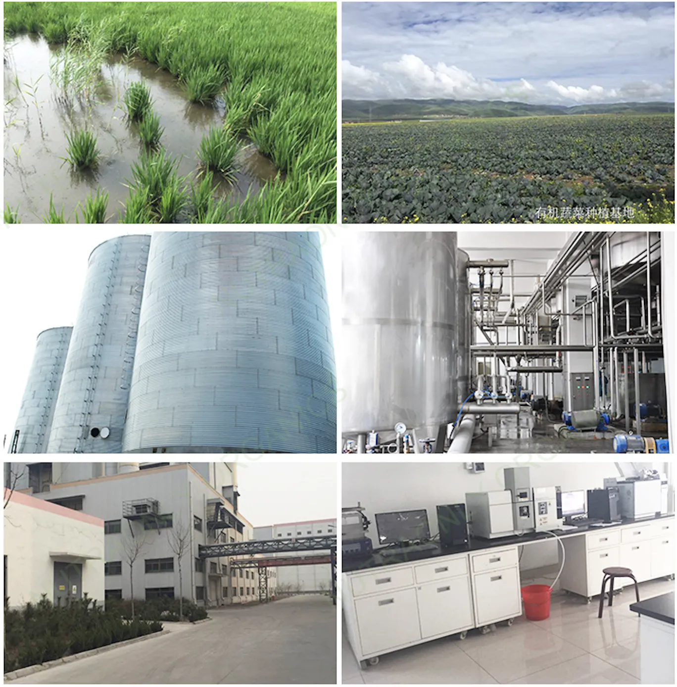 From Field to Laboratory