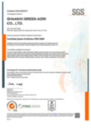 Certificate 3