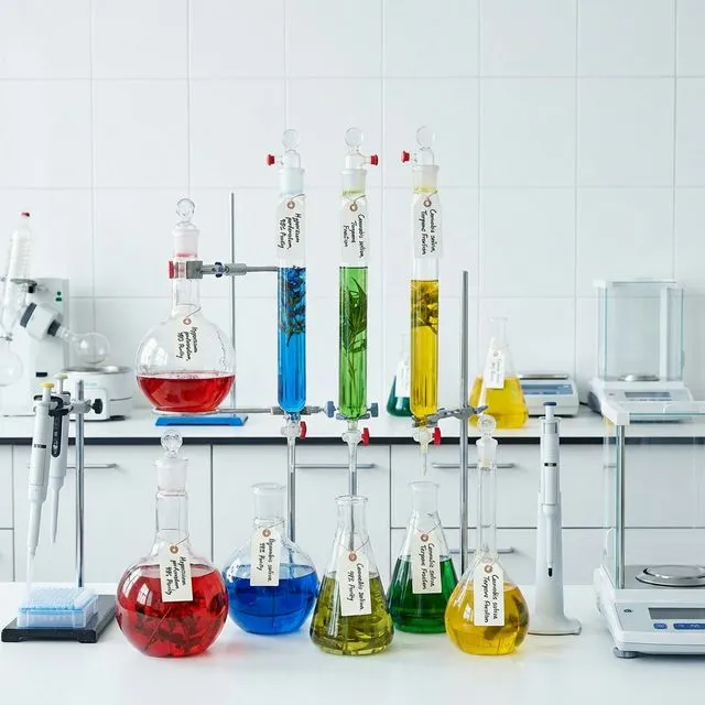 Heavy Metals in Plant Proteins: Why Testing Matters