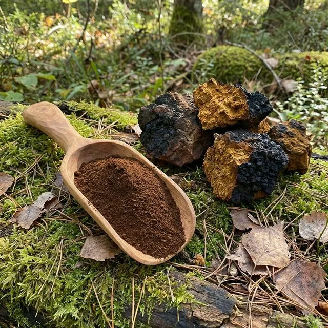 Organic Chaga Mushroom Extract
