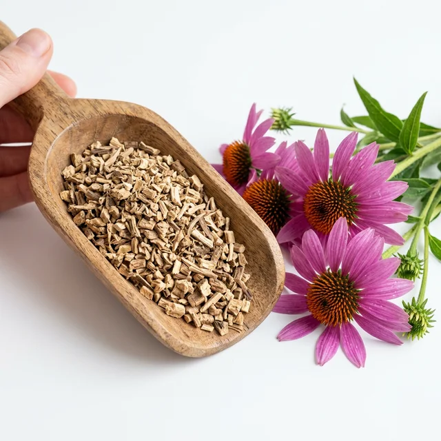 Organic Echinacea Root Tea Cut